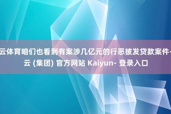 开云体育咱们也看到有案涉几亿元的行恶披发贷款案件-开云 (集团) 官方网站 Kaiyun- 登录入口