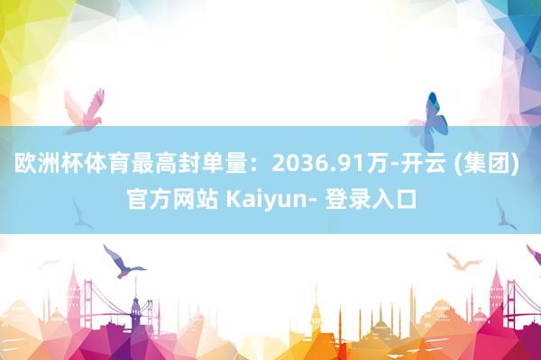 欧洲杯体育最高封单量：2036.91万-开云 (集团) 官方网站 Kaiyun- 登录入口